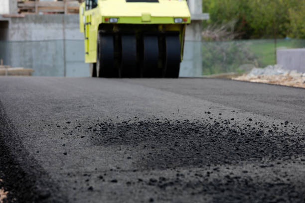 Best Driveway Pavers Near Me  in Aztec, NM