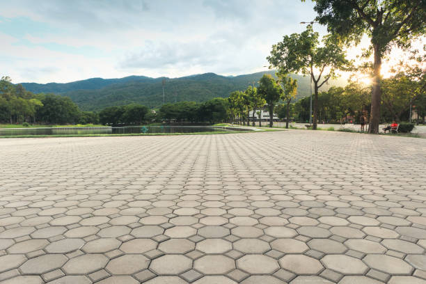 Best Commercial Driveway Pavers  in Aztec, NM