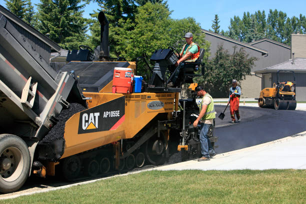 Best Local Driveway Pavers  in Aztec, NM